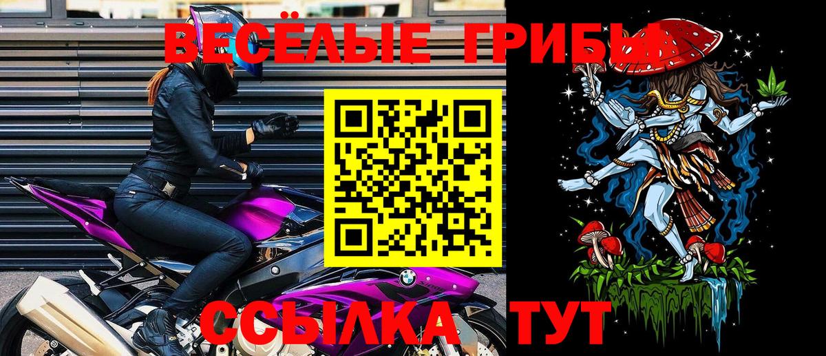 Псилоцибиновые грибы Psilocybe  Вход с VPN  Россошь 