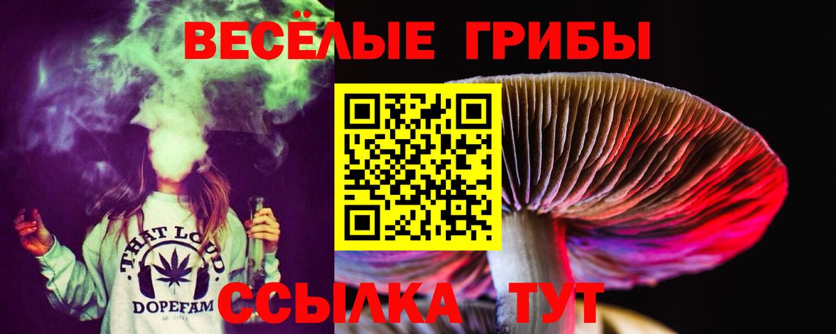 Псилоцибиновые грибы Magic Shrooms Россошь